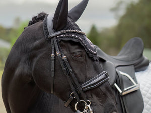What Your Horse Can Wear at an EA Dressage Competition (2026 Rules)