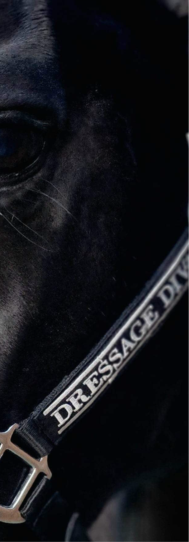 Full fluff black Halter | black faux fur