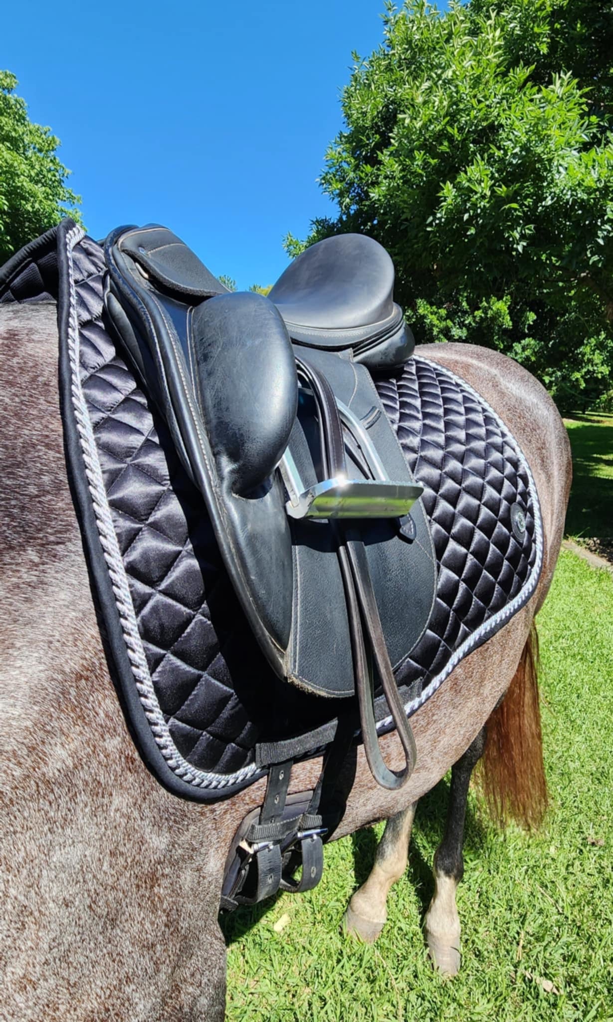 Saddle Pad Black satin