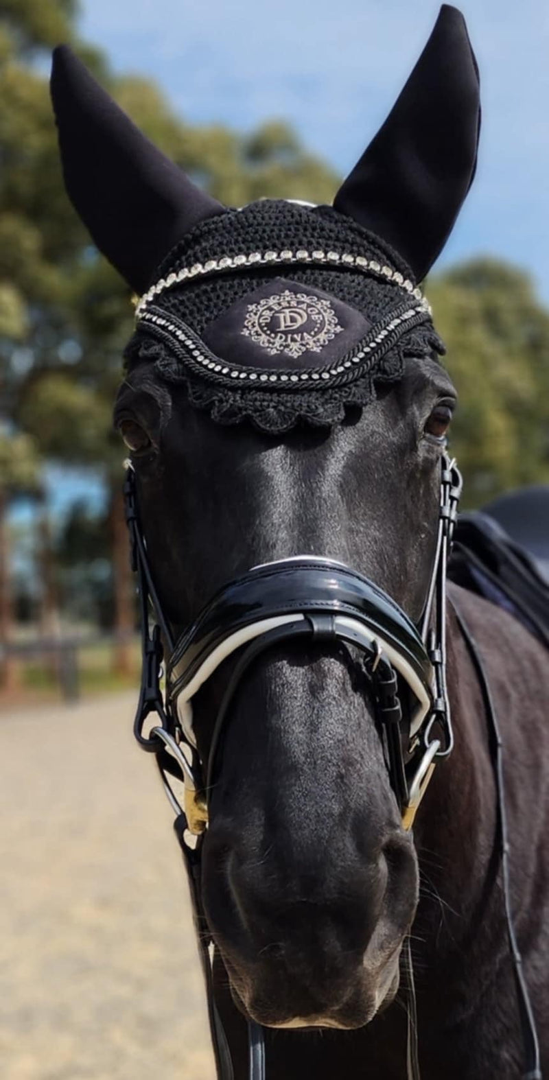 Premium Snaffle Dressage Bridle with white trim piping | Black Leather