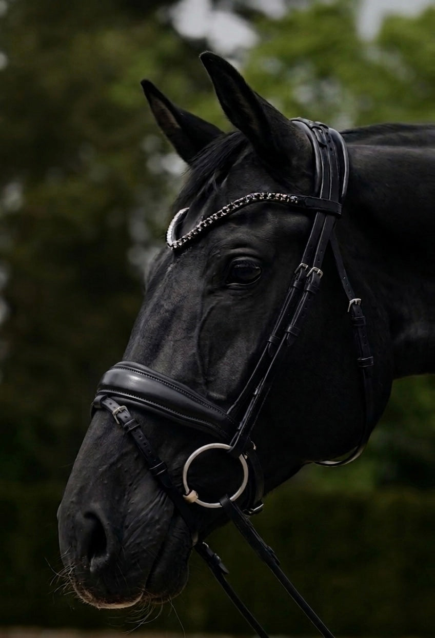ANATOMICAL POLL RELIEF ROLLED LEATHER BRIDLE in Black