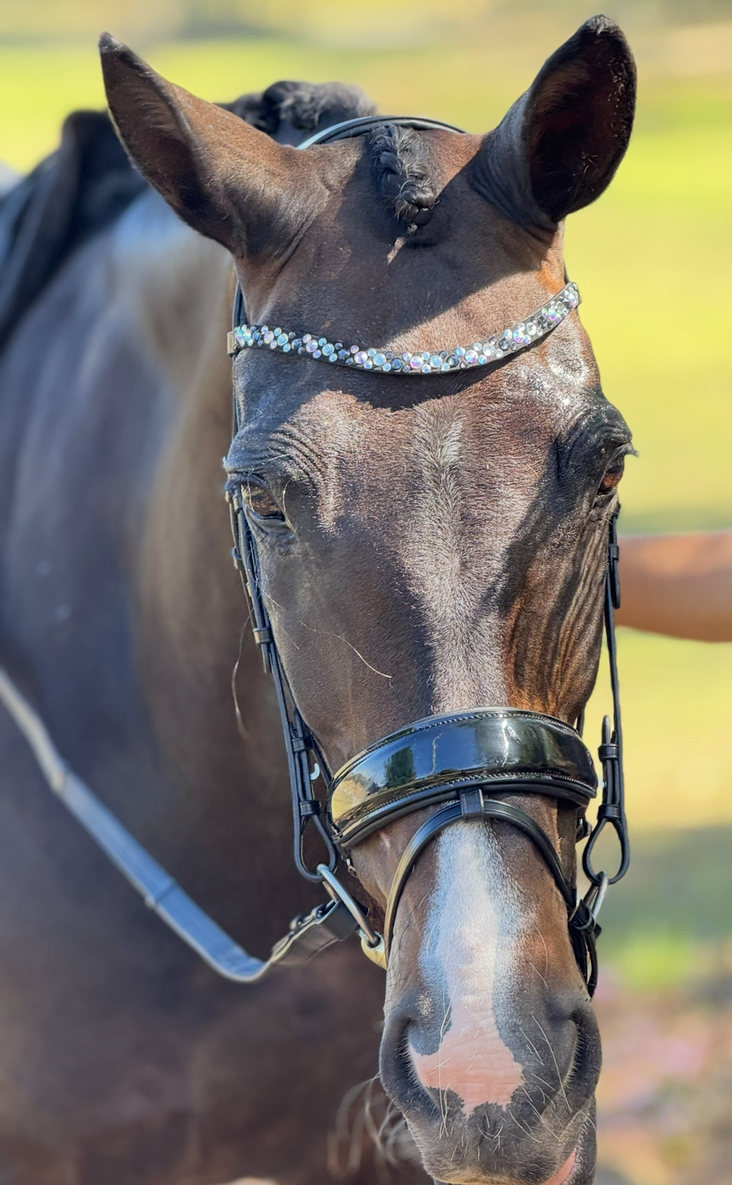 ITALIAN Leather Premium Snaffle Dressage Bridle | Black Leather includes reins