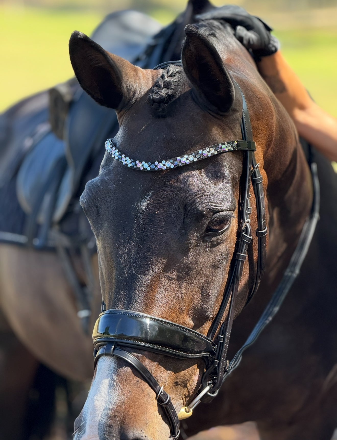ITALIAN Leather Premium Snaffle Dressage Bridle | Black Leather includes reins