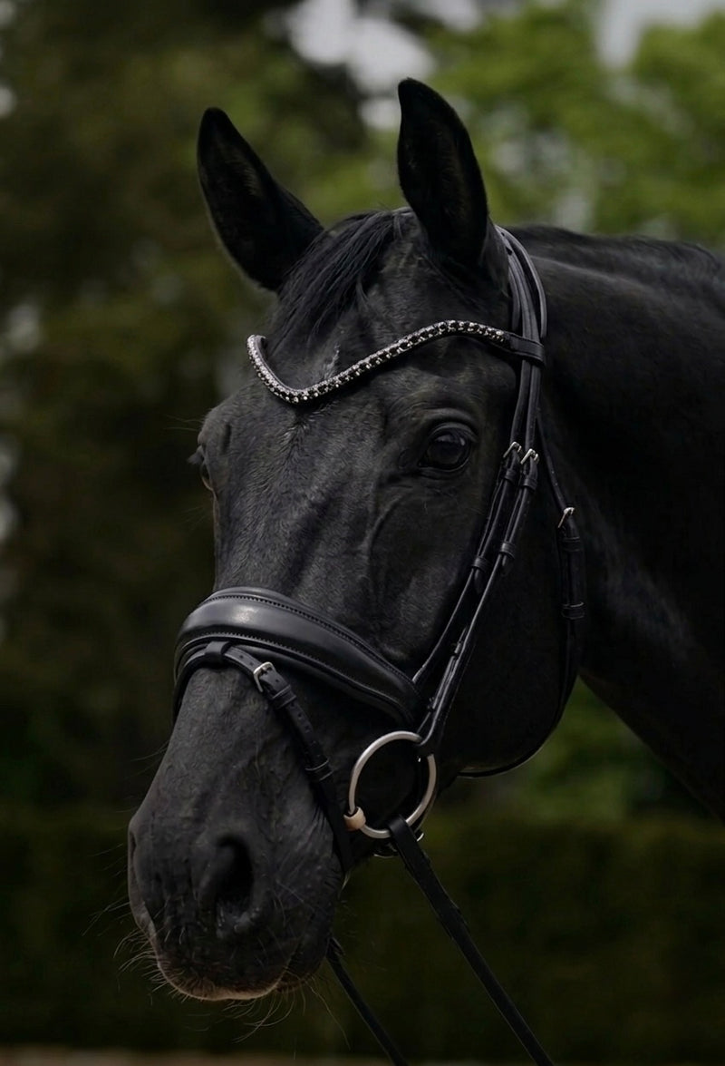 ANATOMICAL POLL RELIEF ROLLED LEATHER BRIDLE in Black