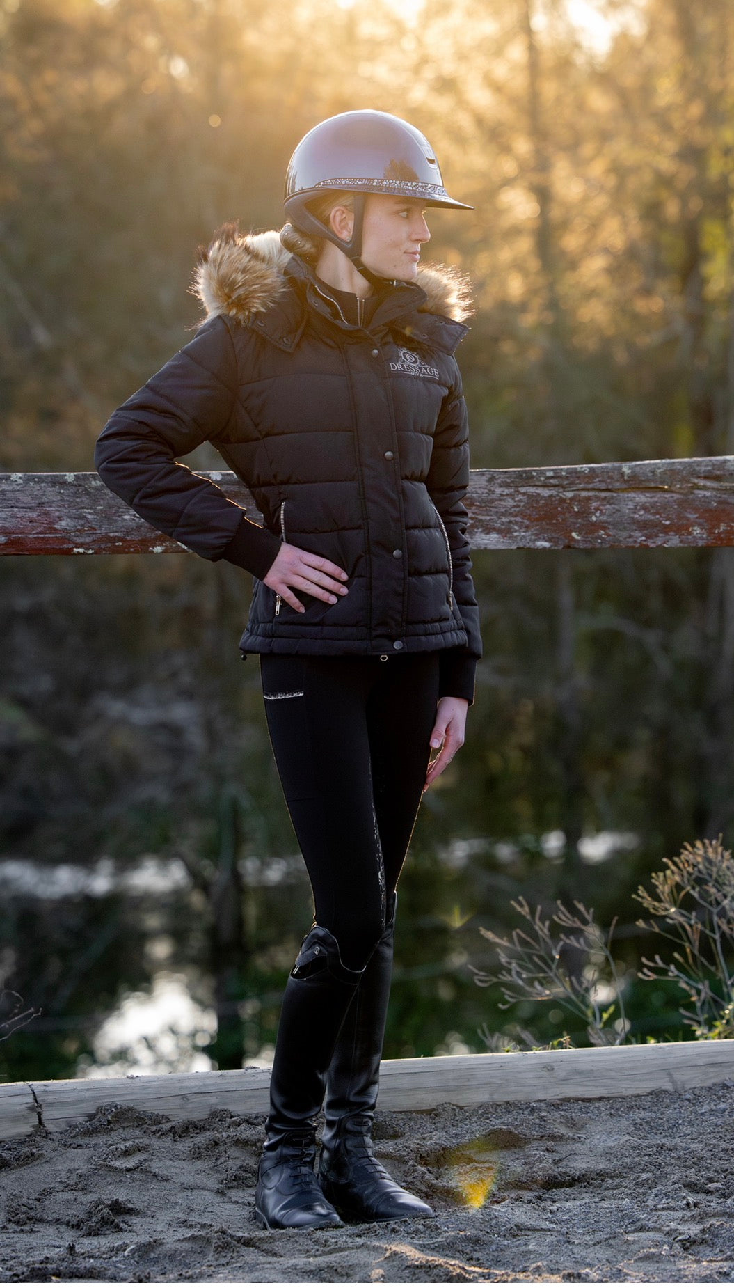 The Dressage Diva Jean  breech