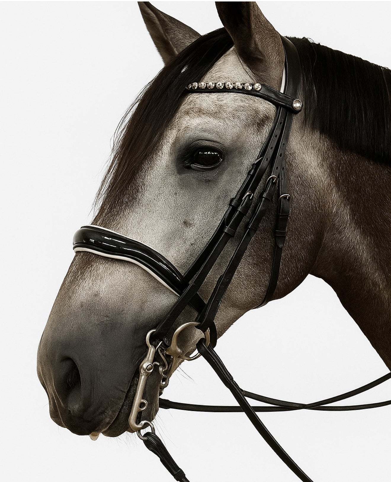 Weymouth Dressage Bridle with white trim piping | Black Leather