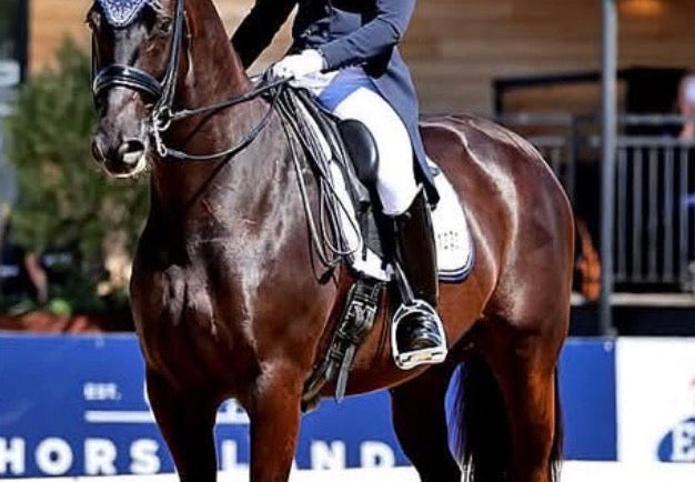 Competition Cotton Drill Saddle Pad with 4 or 5 numbers