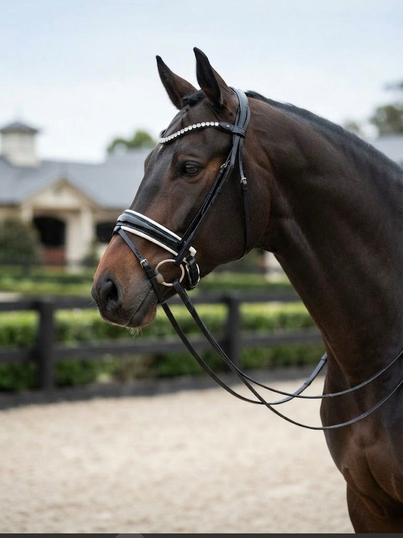 ENGLISH LEATHER Weymouth or Snaffle POLL relief Dressage Bridle | Black Leather includes reins “THE CODA”