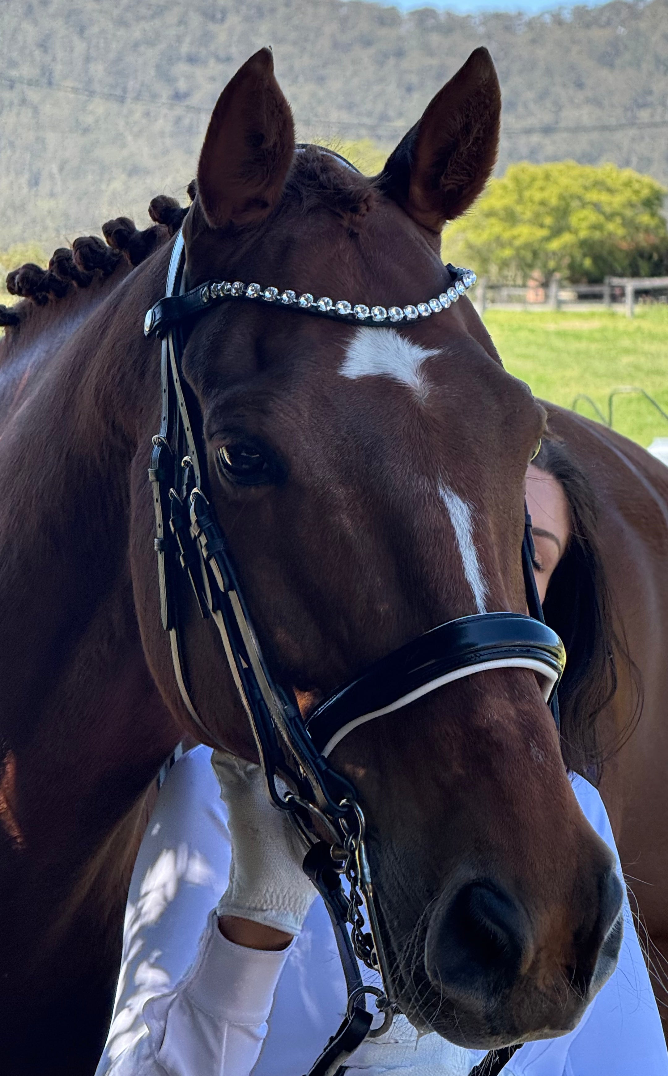 Weymouth Dressage Bridle with white trim piping | Black Leather