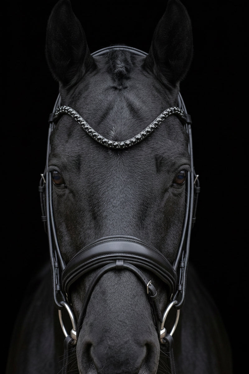 ANATOMICAL POLL RELIEF ROLLED LEATHER BRIDLE in Black