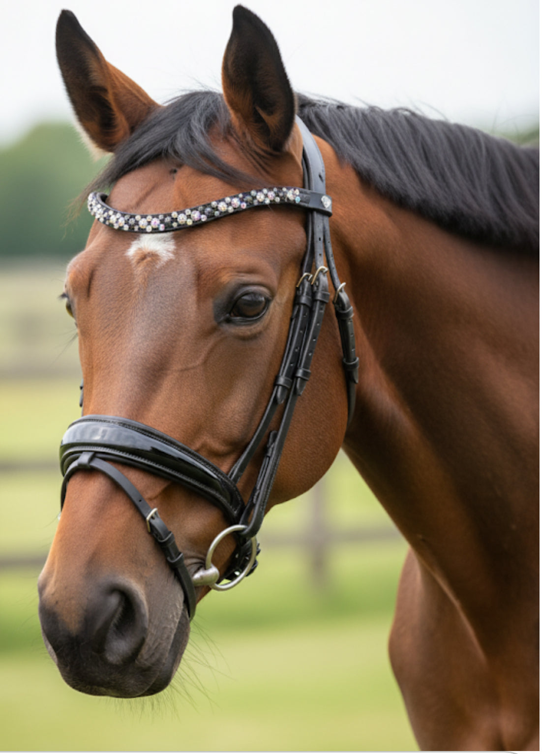 ITALIAN Leather Premium Snaffle Dressage Bridle | Black Leather