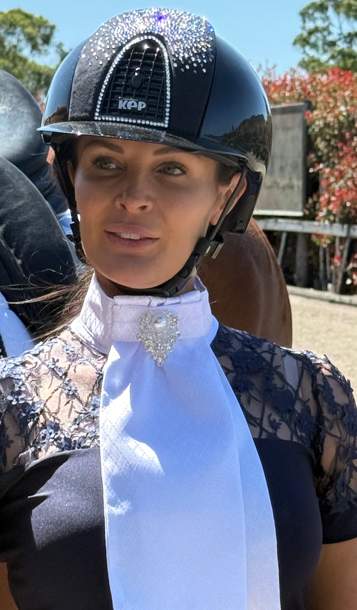 Equestrian Stock Ties