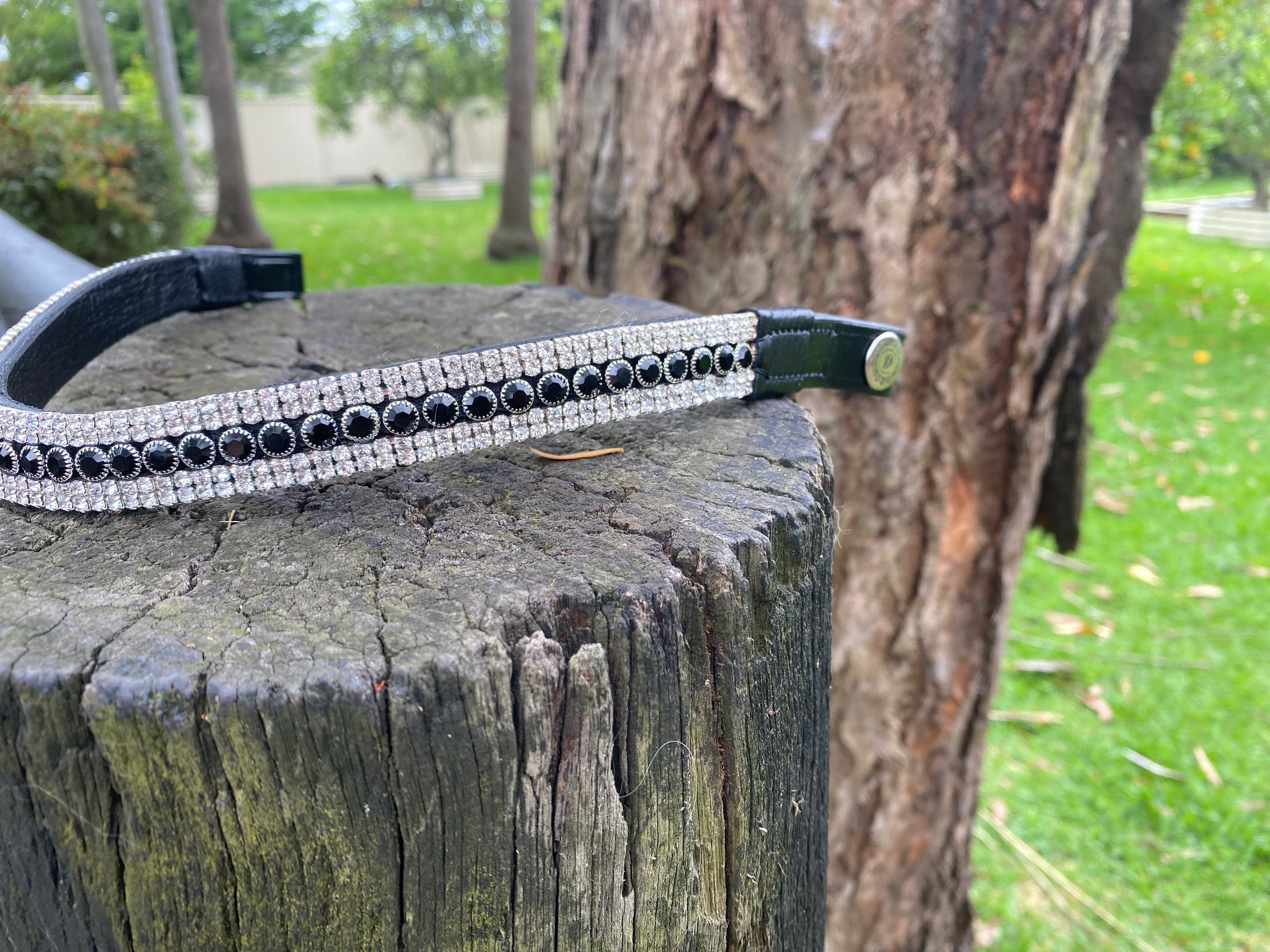 Black Bling and Clear Crystal Browband 5 row