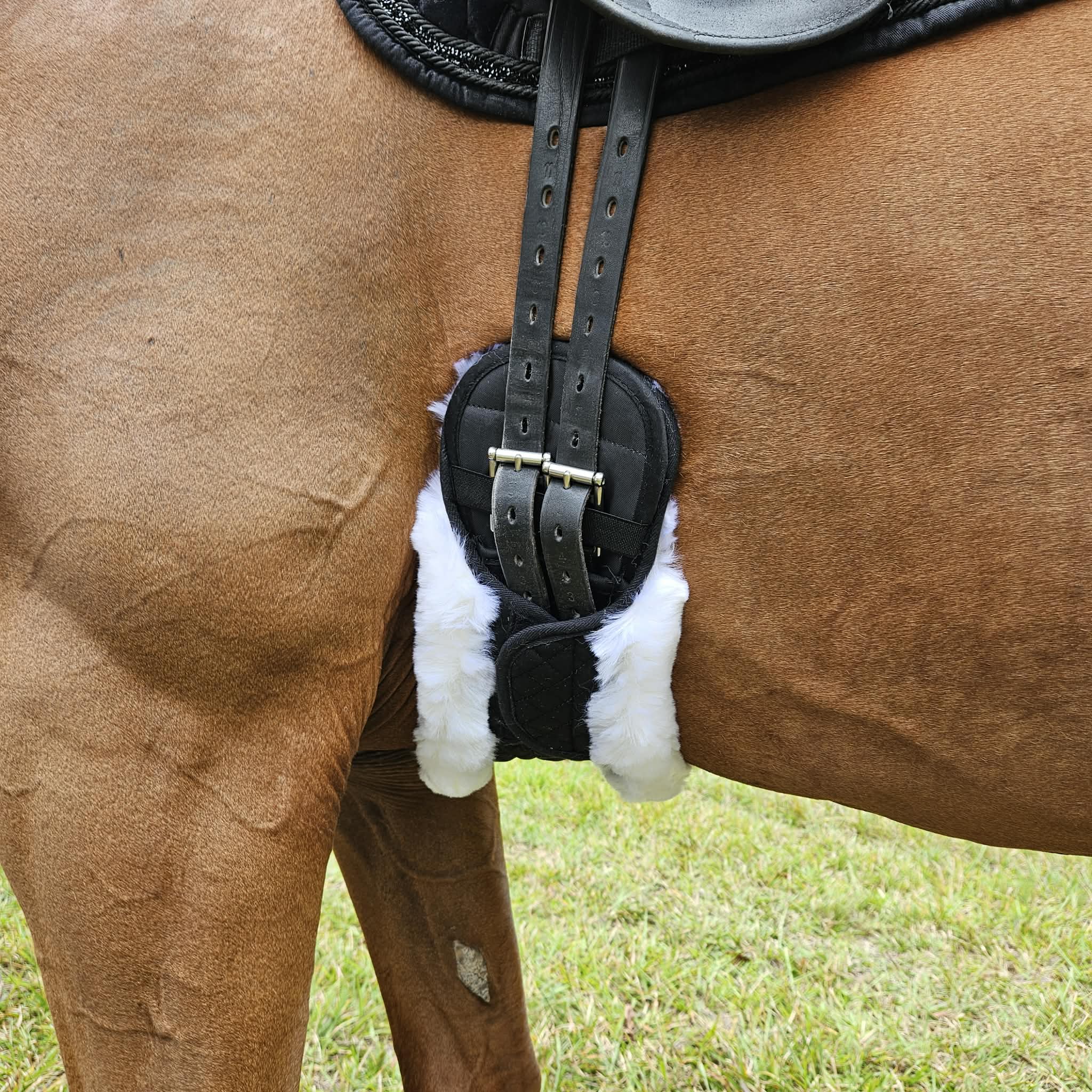 Anatomical girth with removable WHITE sheepskin cover