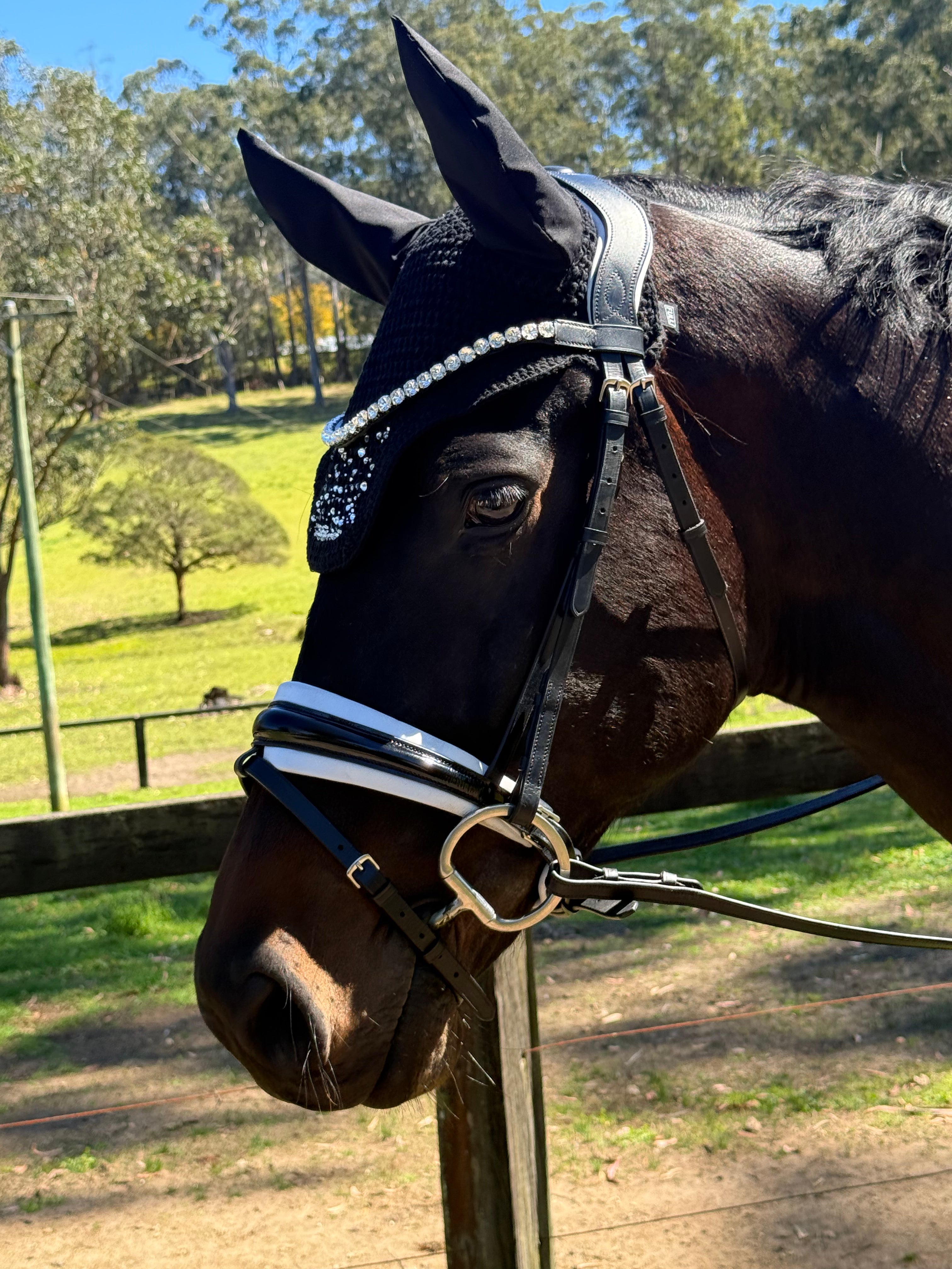 Snaffle Dressage Bridle with wide white trim piping | Black Leather