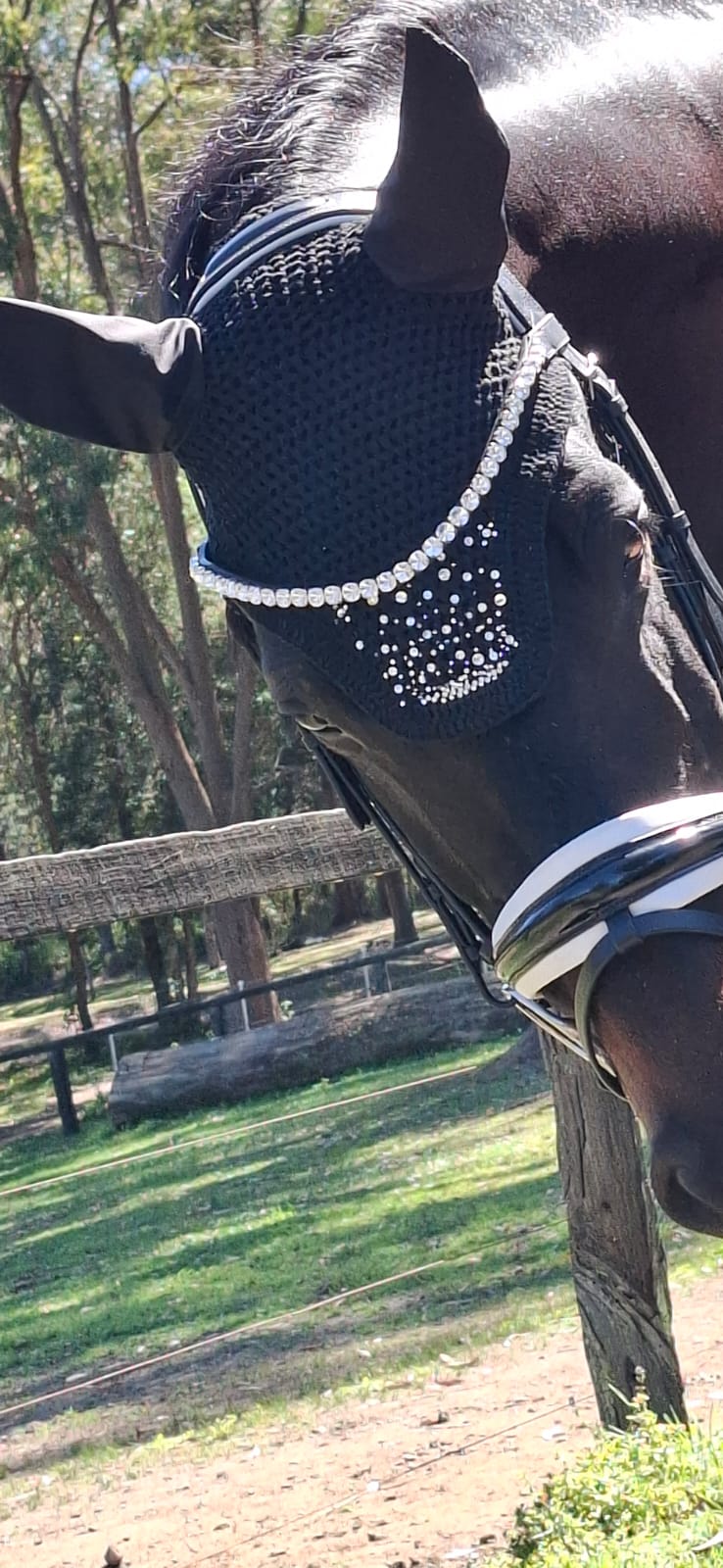 Snaffle Dressage Bridle with wide white trim piping | Black Leather