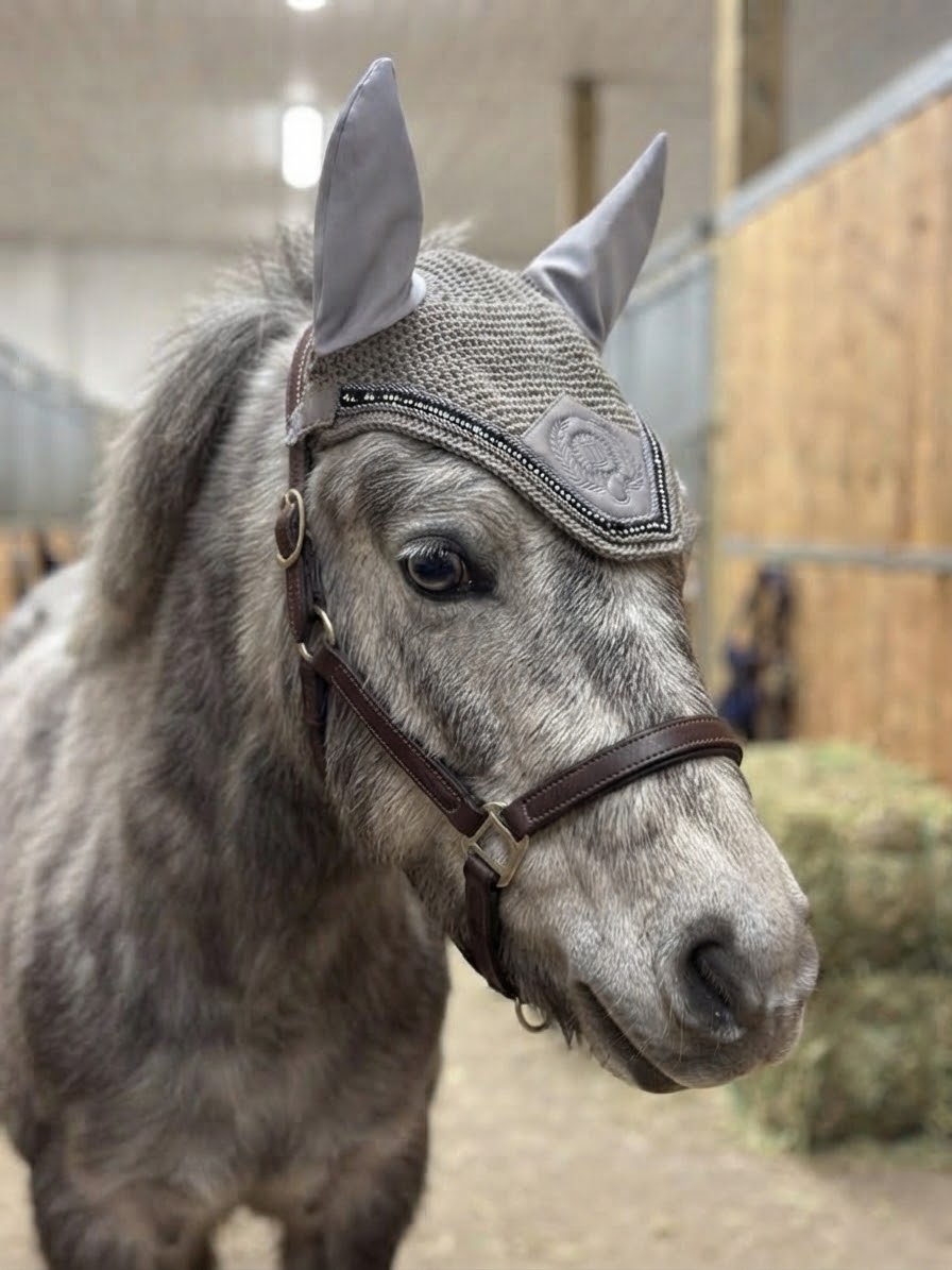 Grey ear bonnet