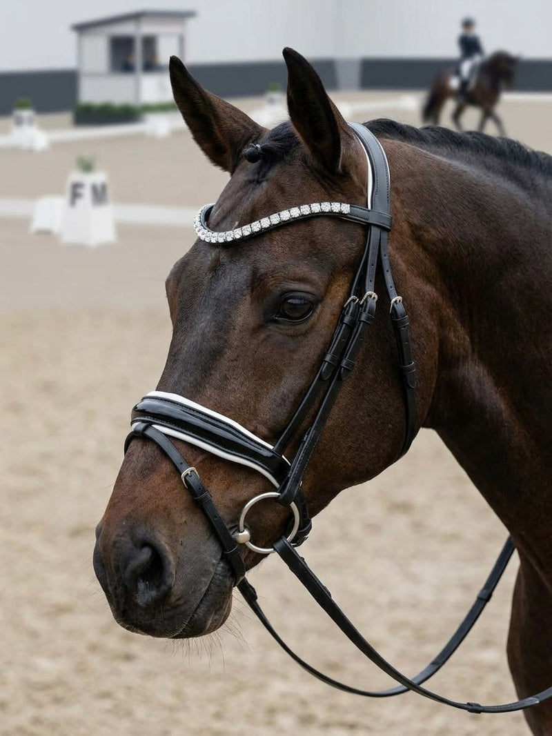 Snaffle  Dressage Bridle with white trim piping | Black patent leather noseband clip on curve browband