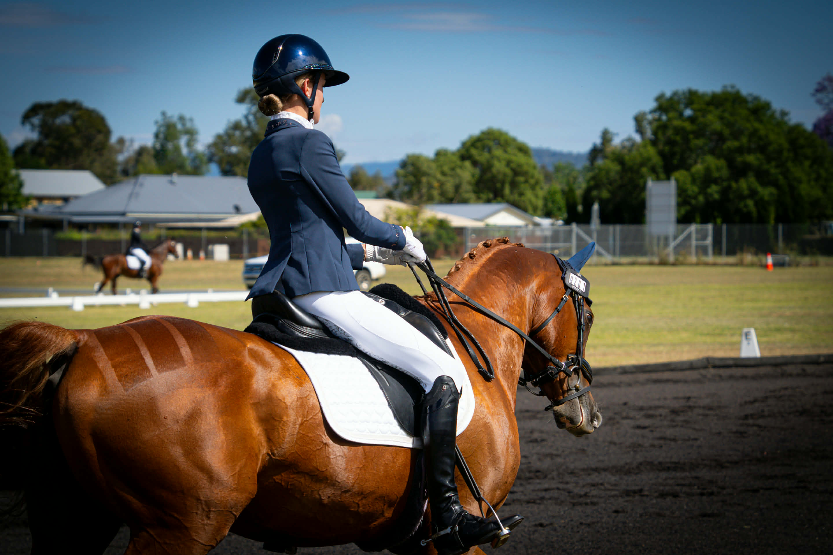 Competition Saddle Pad Satin Heart Shape pattern with crushed clear crystal trim