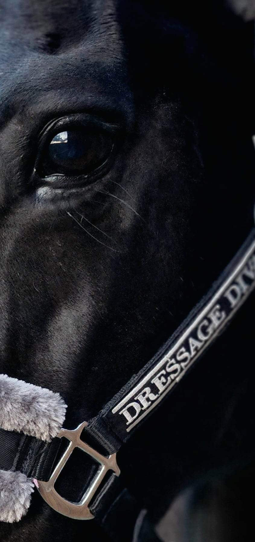 Full fluff black Halter | black faux fur