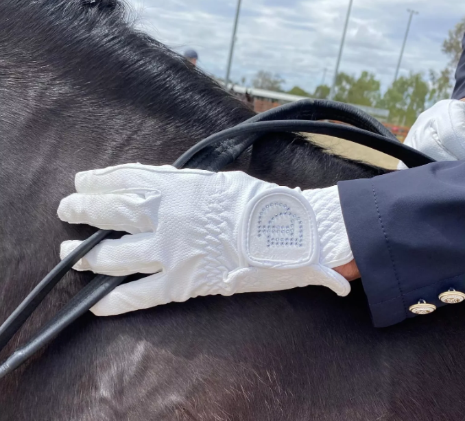 Dressage Gloves | White