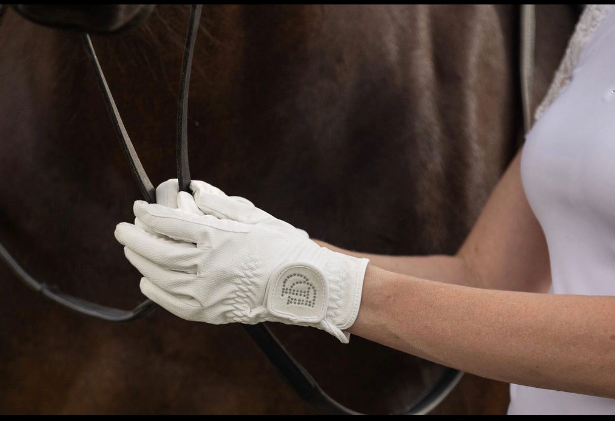 Dressage Gloves | White